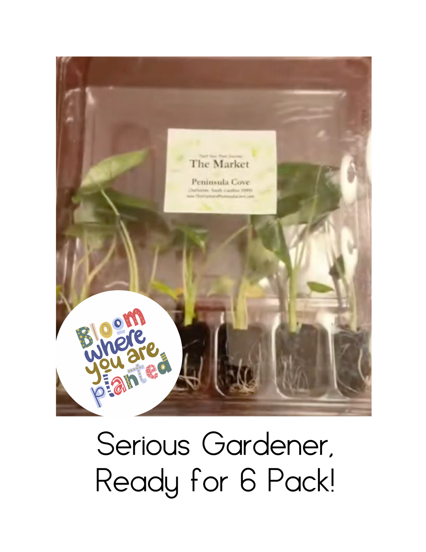 Serious Gardener 6 Pack