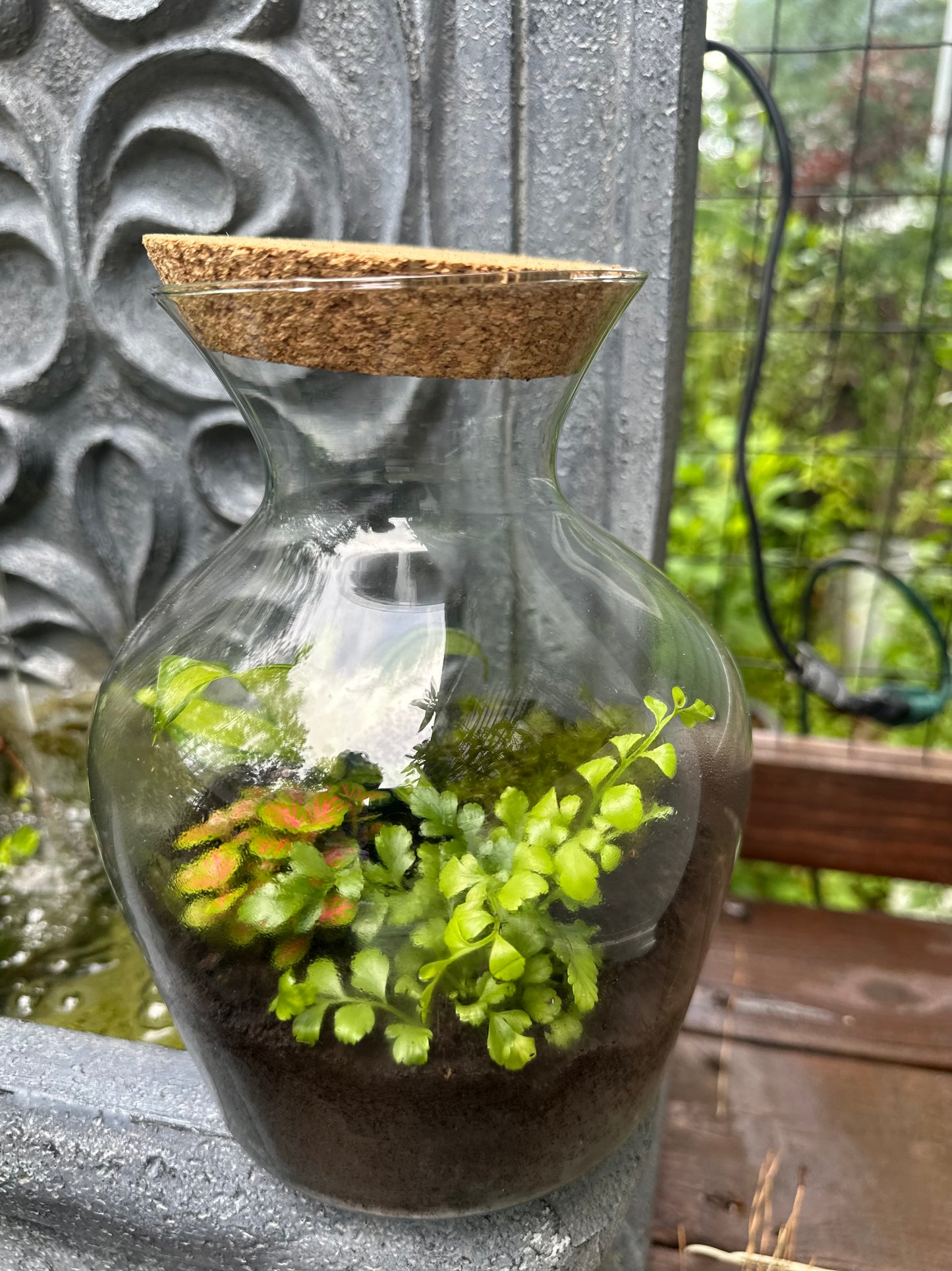 Terrarium - A