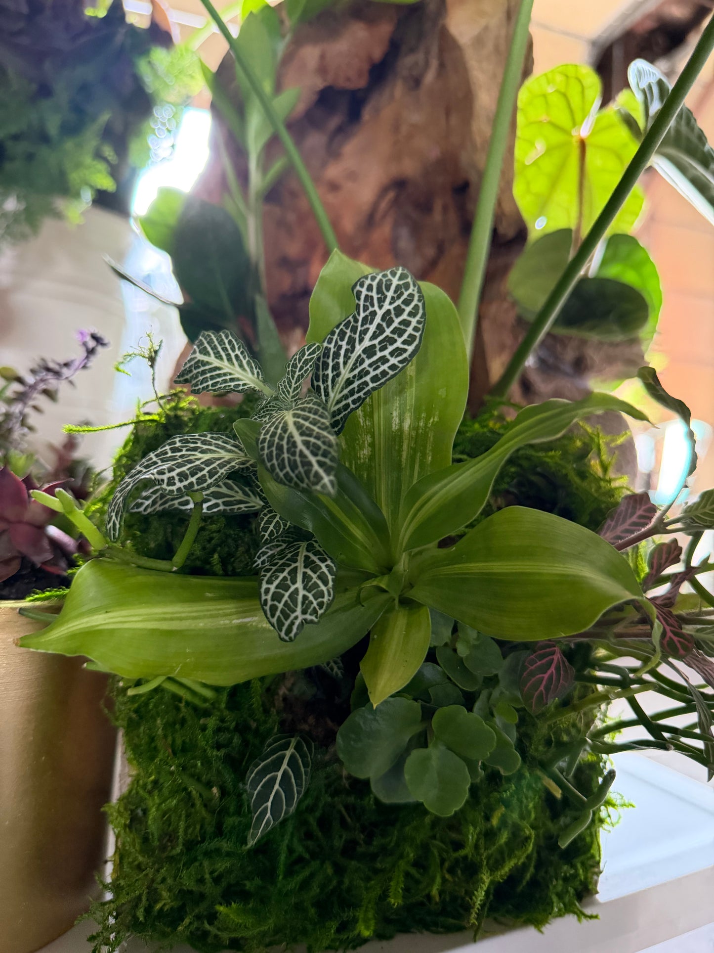Enchanted Garden Vertical Wall
