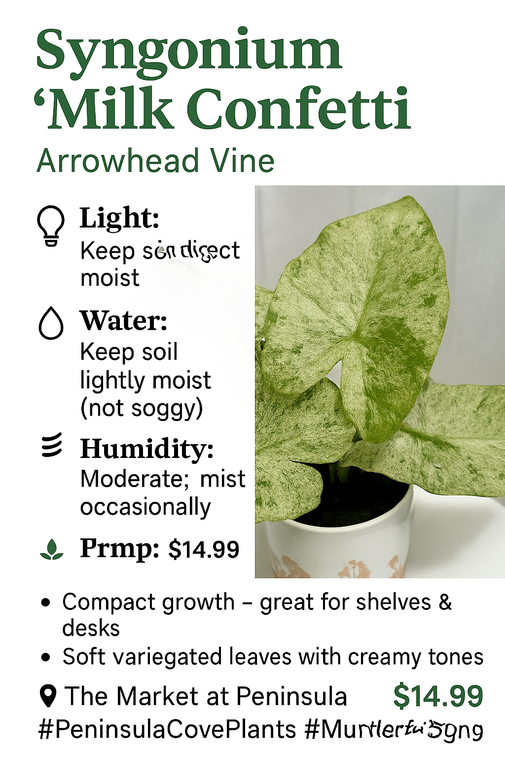 Syngonium ‘Milk Confetti’