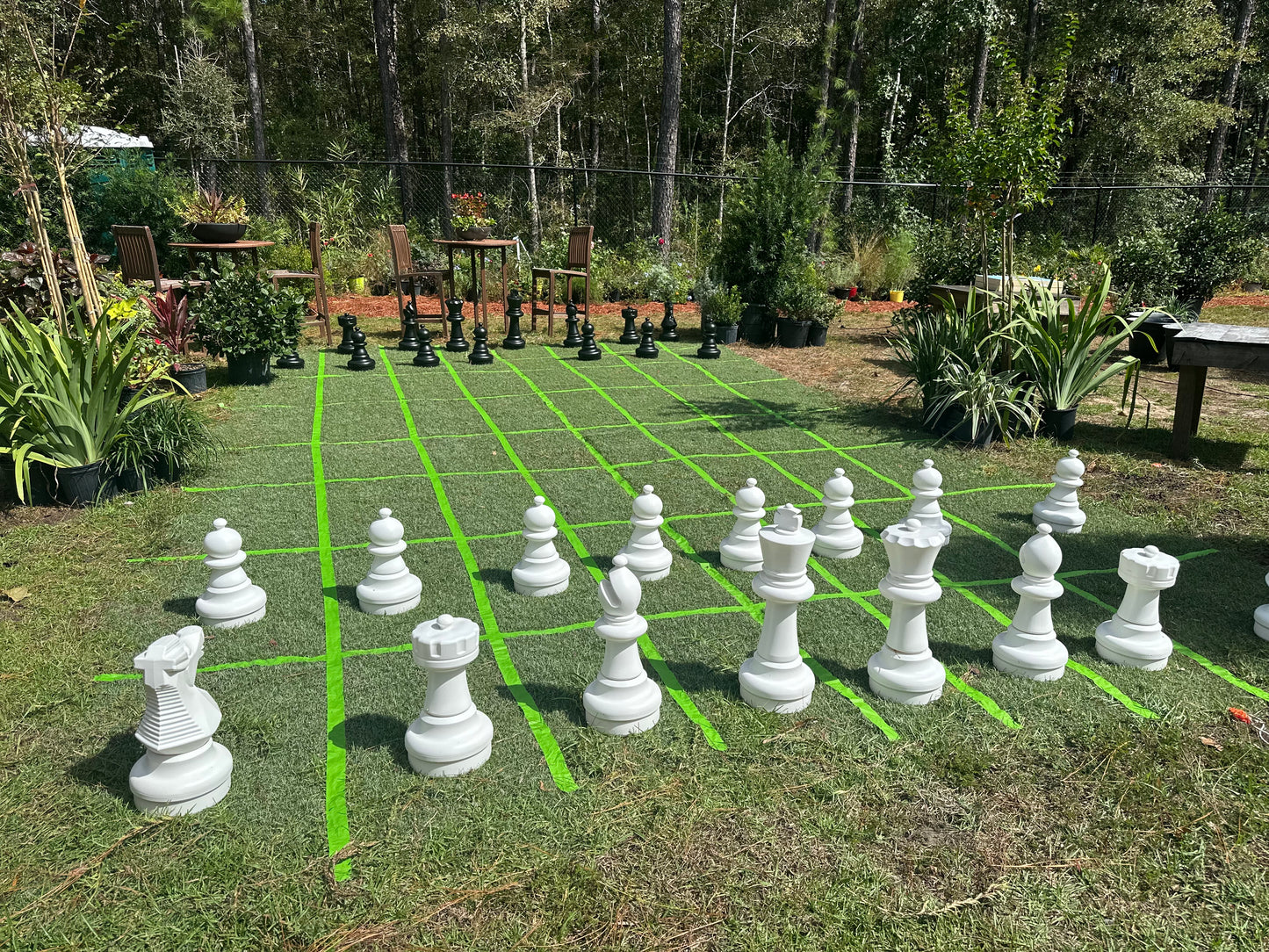 Chess Set Rental