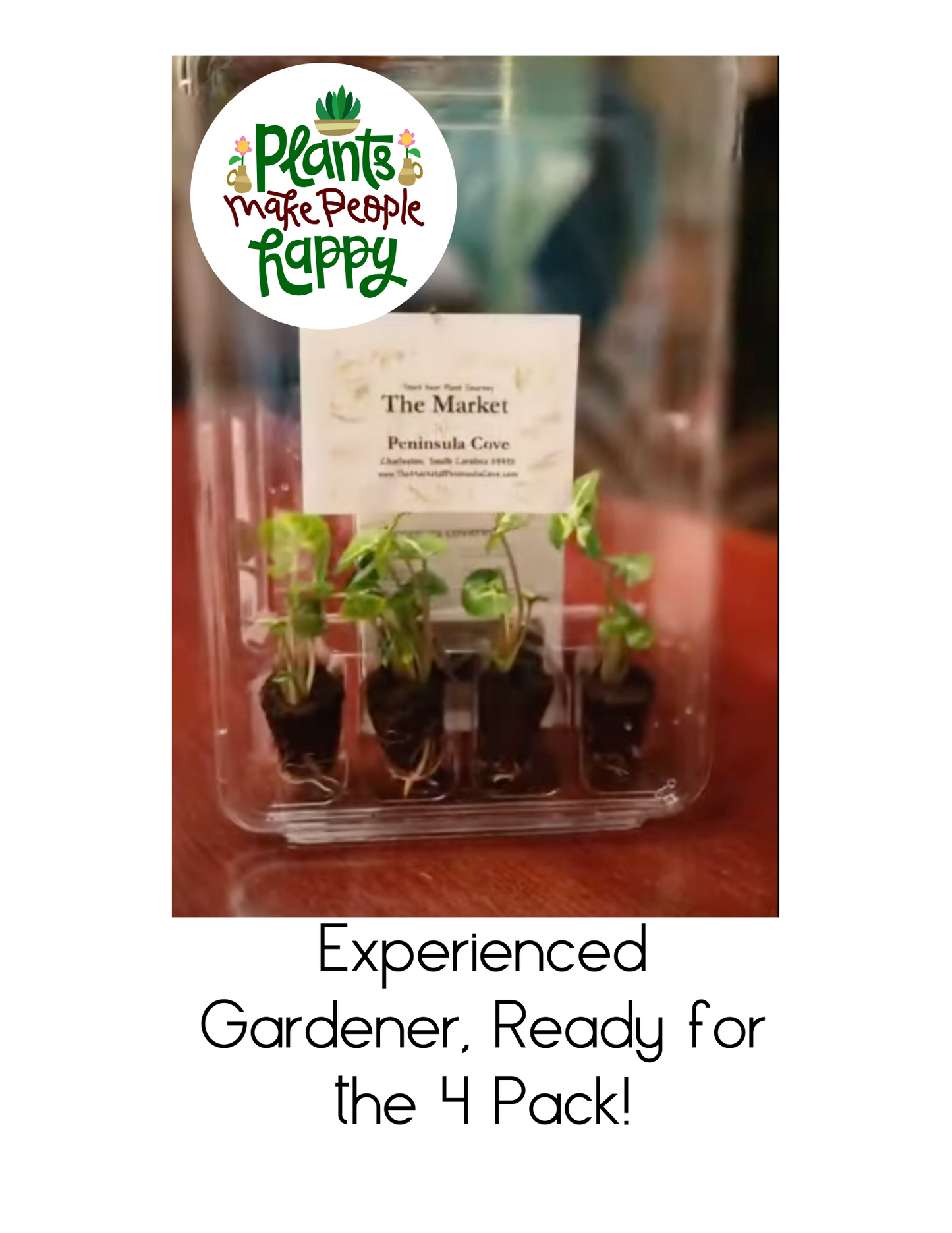 Experienced Gardener