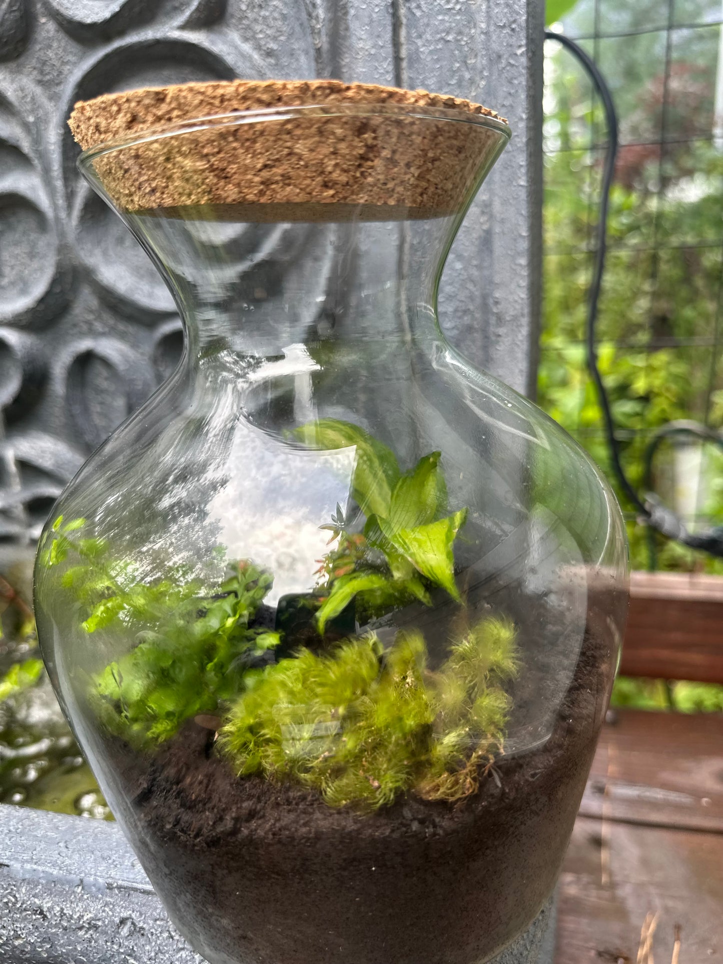 Terrarium - A